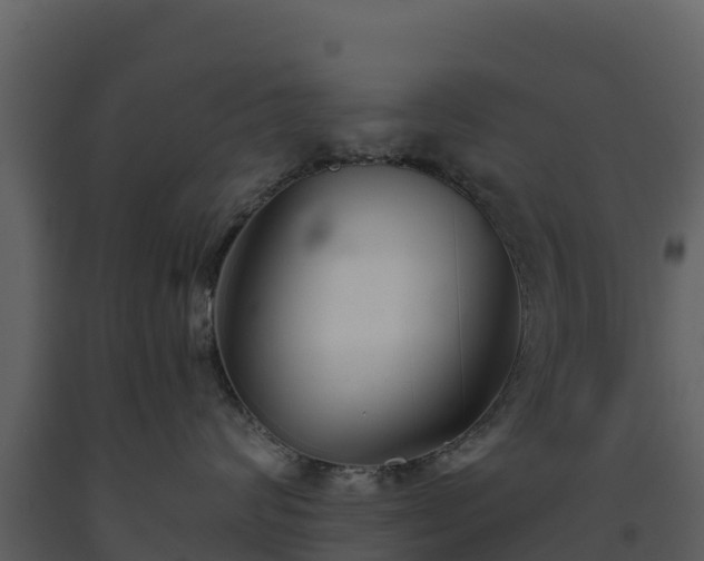 X0000093460624200710191125