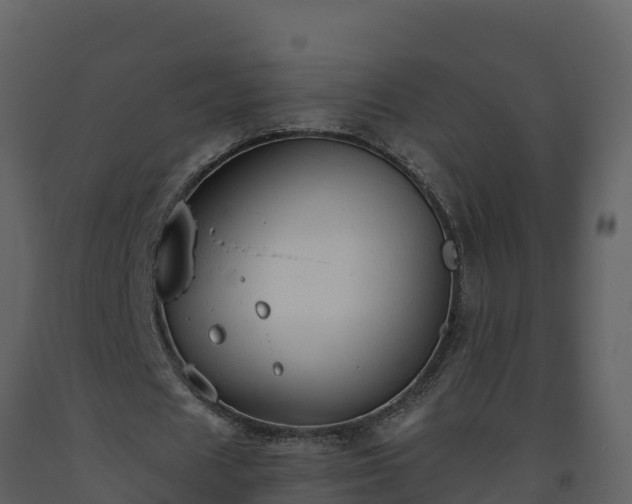 X0000093460625200710191124