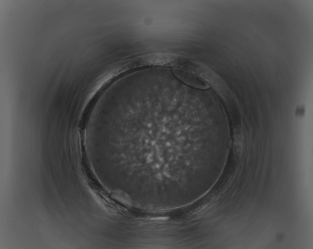 X0000093460626200710191124