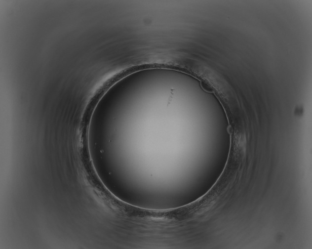 X0000093460628200710191124