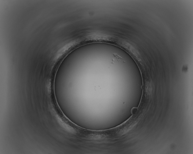 X0000093460629200710191124