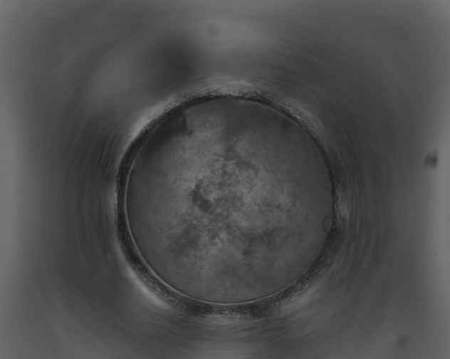 X0000093460630200710191124