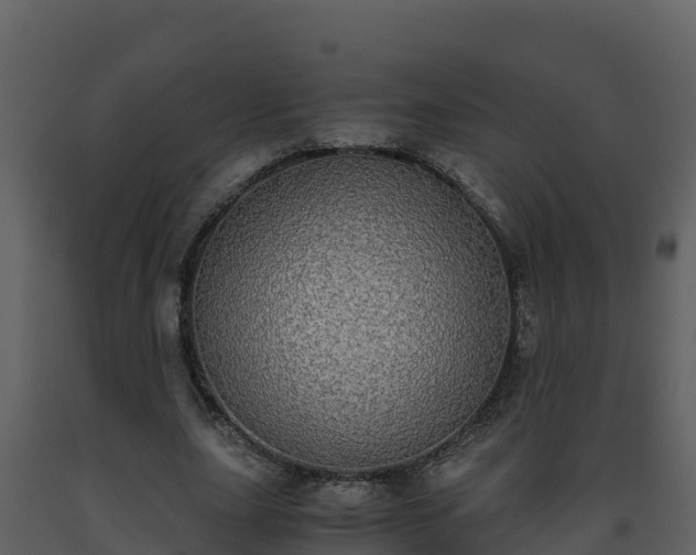 X0000093460631200710191124