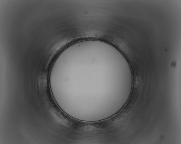 X0000093460632200710191124