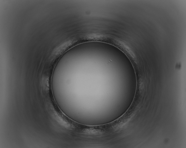 X0000093460633200710191124