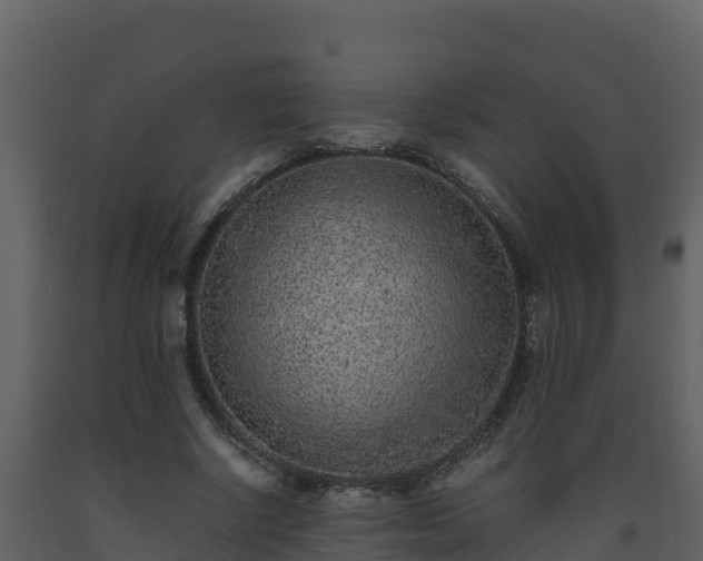 X0000093460634200710191124