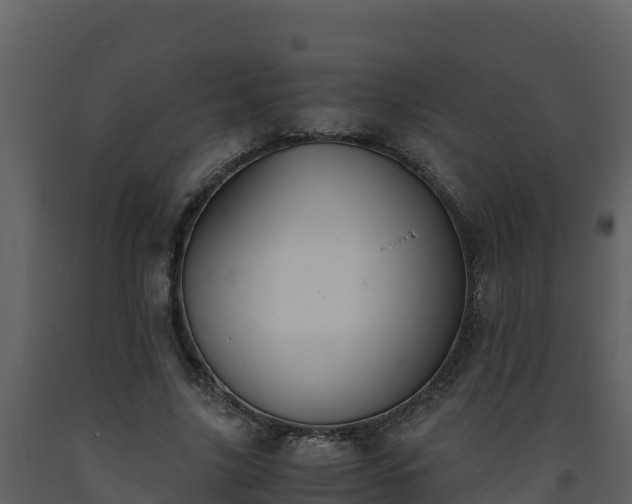 X0000093460635200710191124