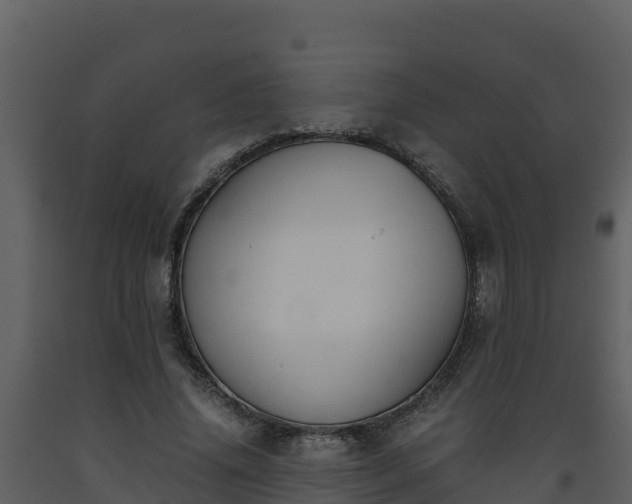 X0000093460636200710191124