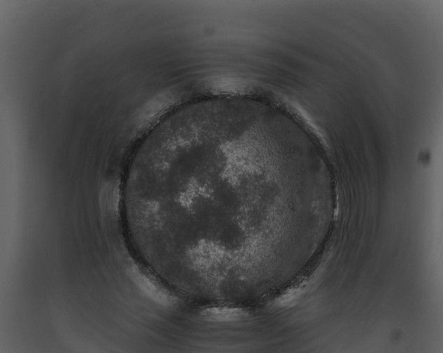 X0000093460637200710191124