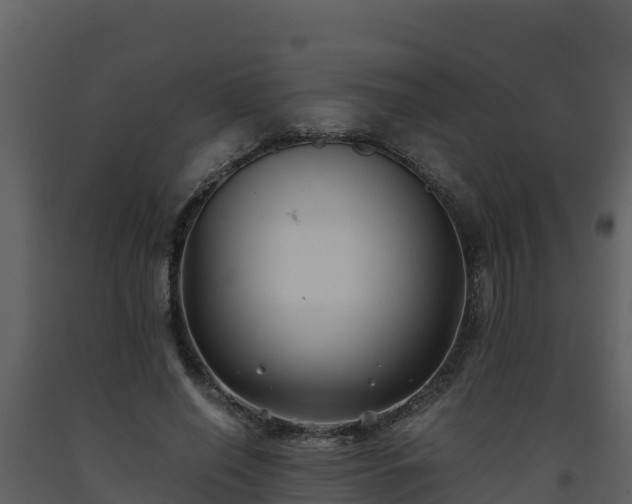 X0000093460638200710191124