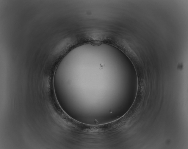 X0000093460639200710191125