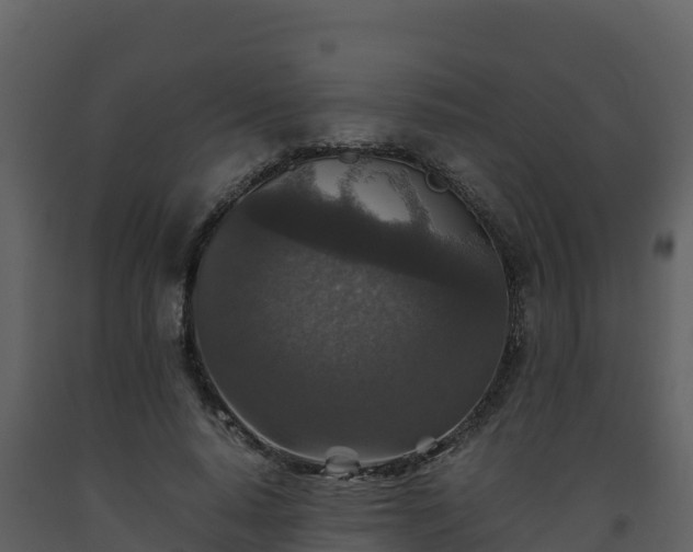 X0000093460640200710191125