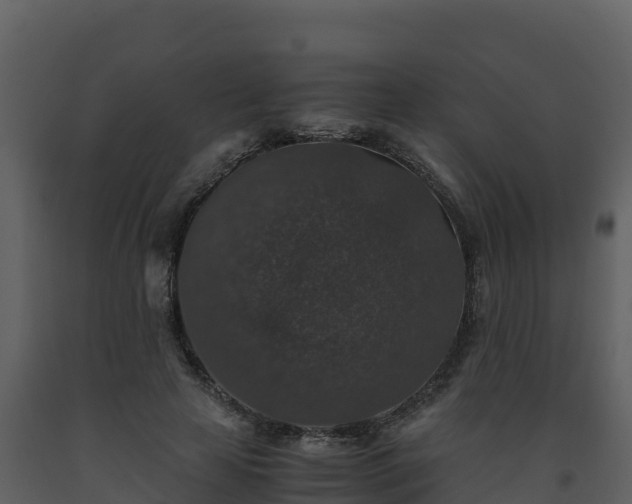 X0000093460641200710191125