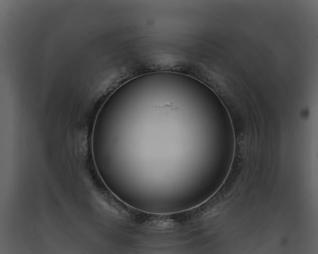 X0000093460642200710191125