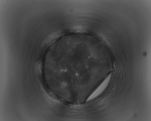 X0000093460643200710191125