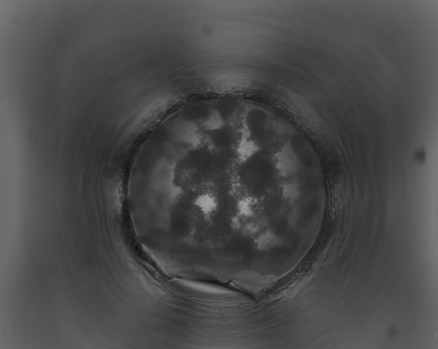 X0000093460644200710191125