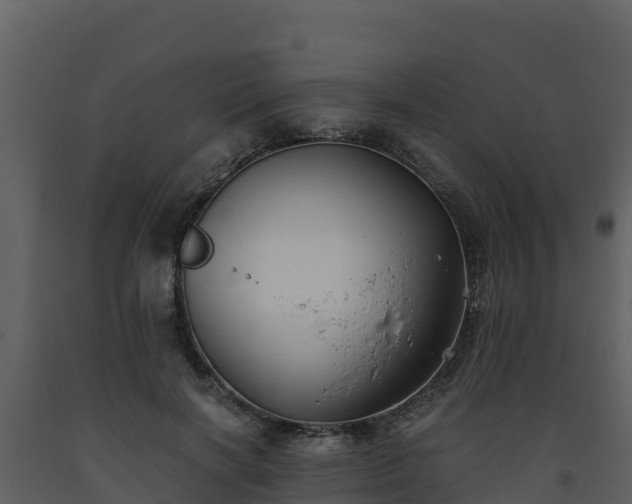 X0000093460646200710191125