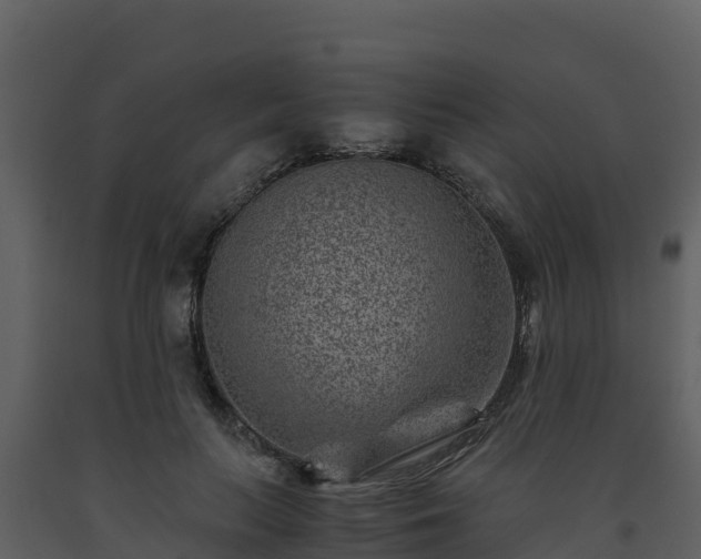 X0000093460647200710191125