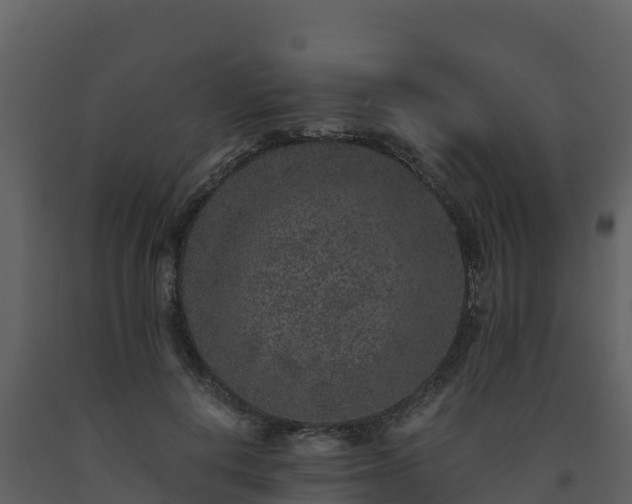 X0000093460648200710191125