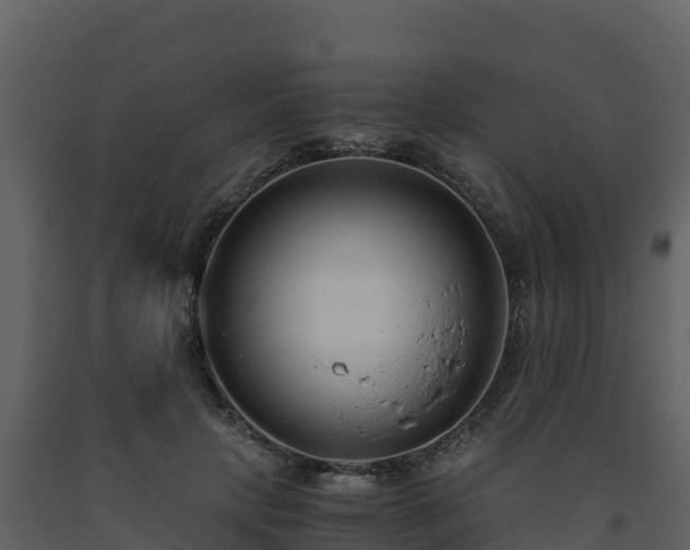 X0000093460649200710191125