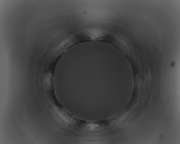 X0000093460650200710191125