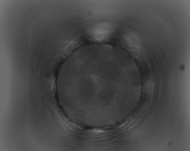 X0000093460651200710191125