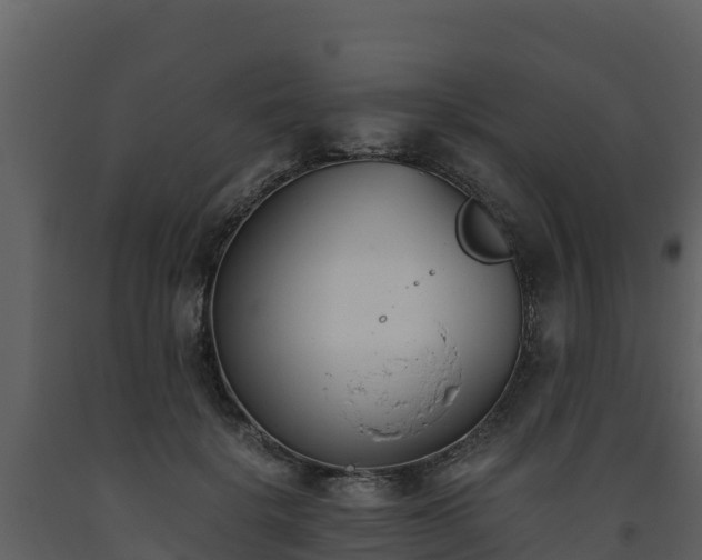 X0000093460652200710191125