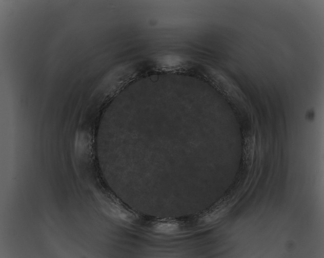 X0000093460653200710191125