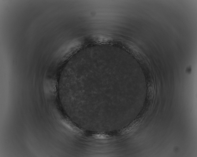 X0000093460654200710191125