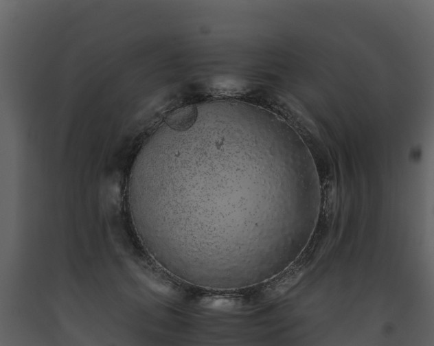 X0000093460655200710191125