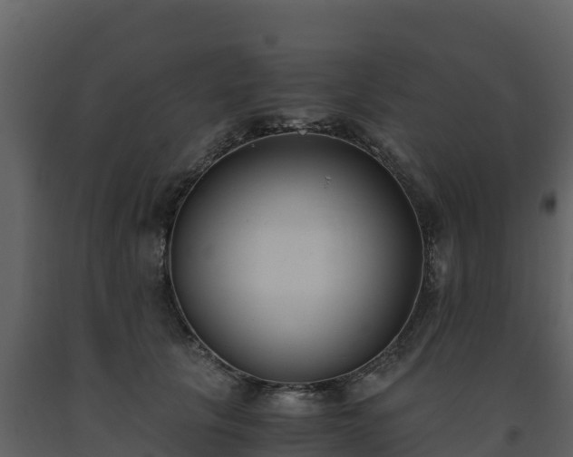 X0000093460657200710191125