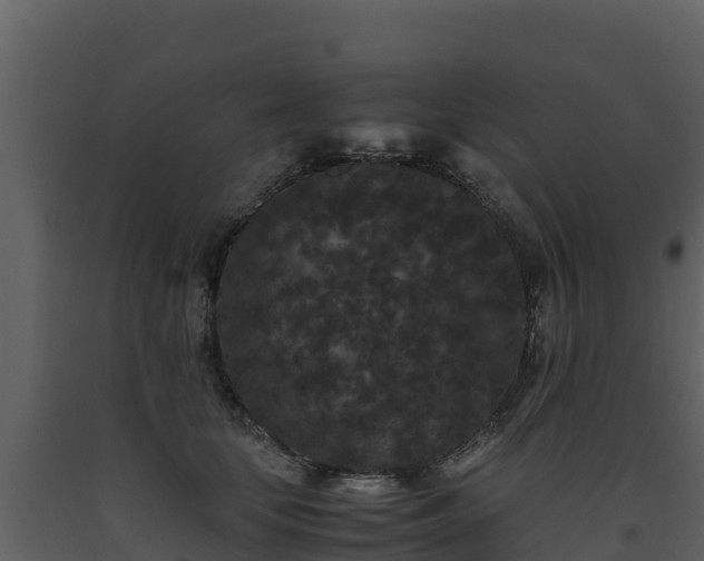 X0000093460659200710191125