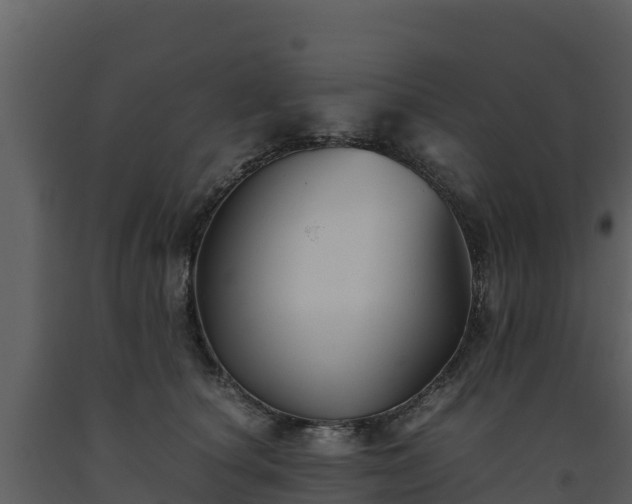 X0000093460660200710191125