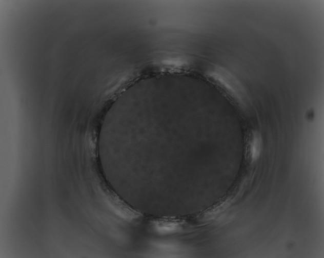 X0000093460661200710191125