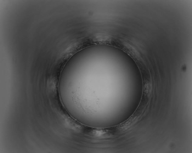 X0000093460662200710191125