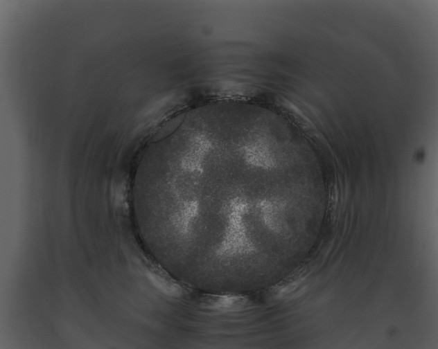 X0000093460663200710191125