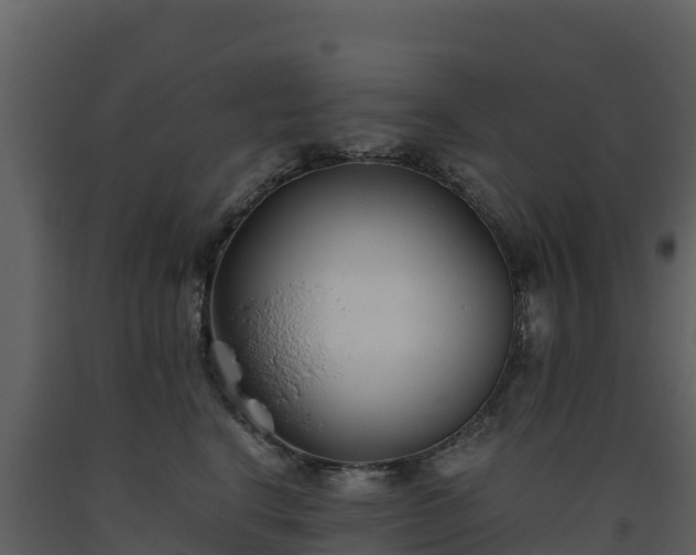 X0000093460664200710191125