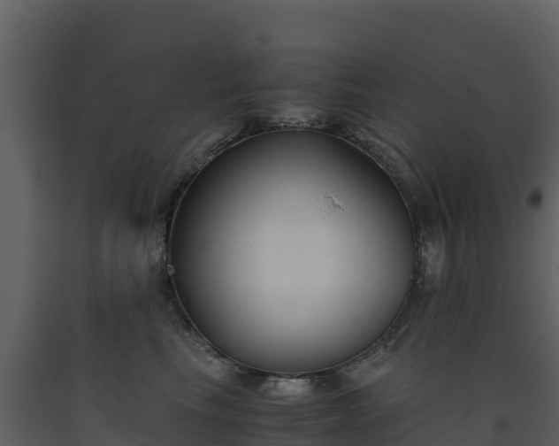 X0000093460665200710191125