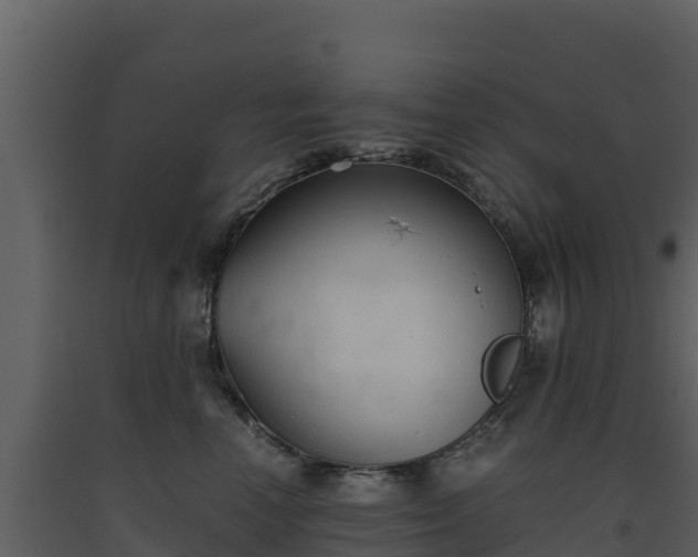 X0000093460666200710191125