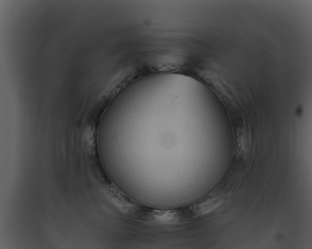 X0000093460667200710191125