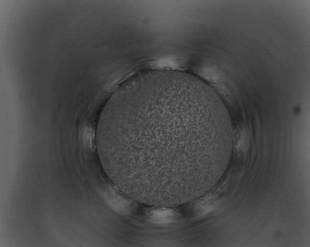 X0000093460669200710191125