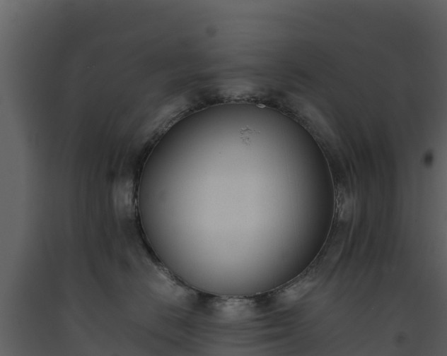 X0000093460670200710191125