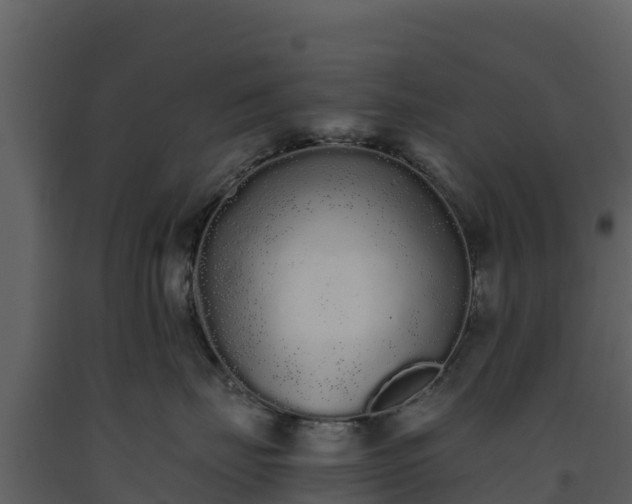 X0000093460671200710191125