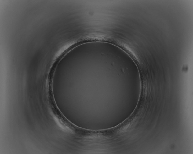 X0000093460674200710191124