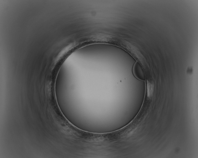 X0000093460675200710191124