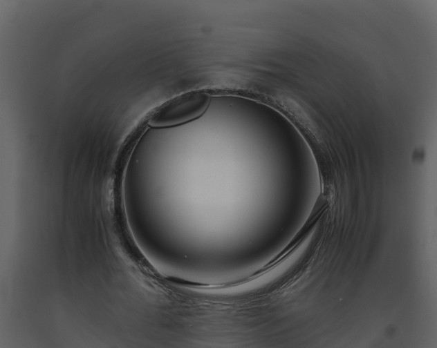 X0000093460676200710191124