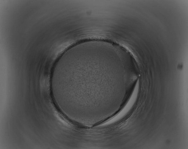 X0000093460677200710191124