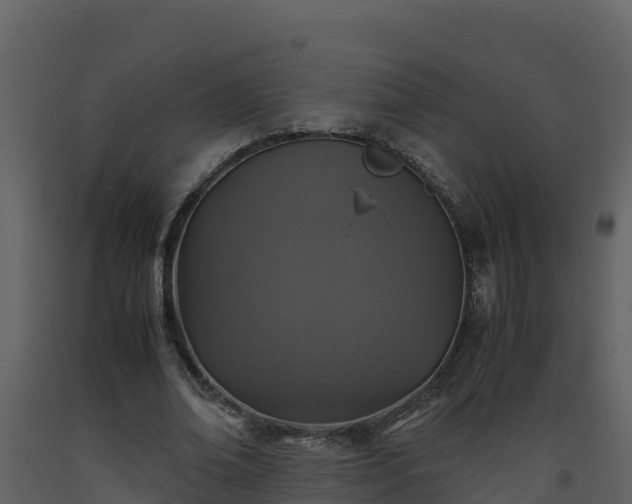 X0000093460678200710191124