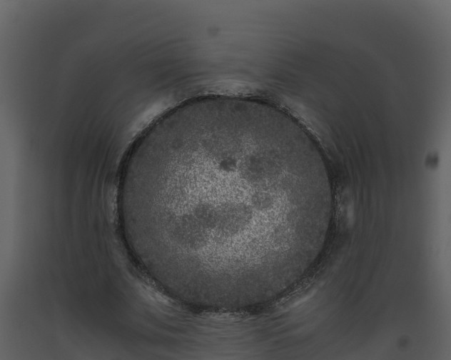 X0000093460679200710191124