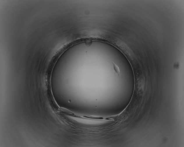 X0000093460680200710191124